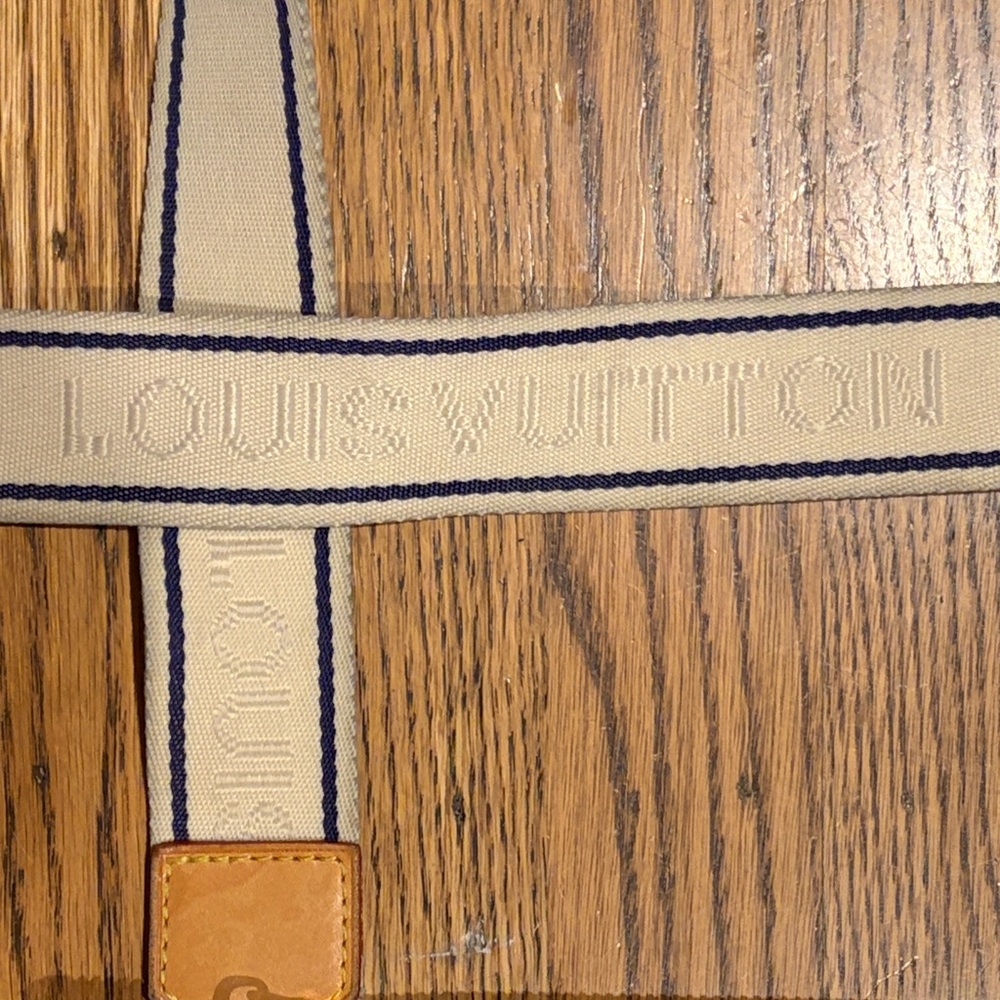 Louie Vuitton Purse - Picture 4 of 11
